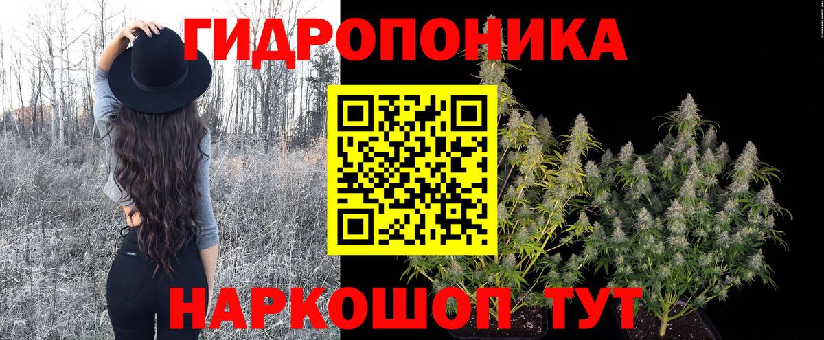 Вичуга  Бошки Шишки конопля  Вход с VPN  Каннабис марихуана 